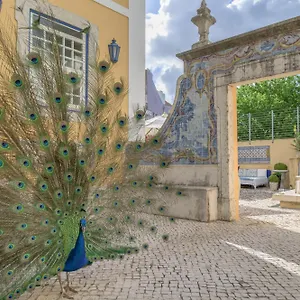 Hotel Solar Do Castelo - Heritage Collection - Alfama, Lisbon